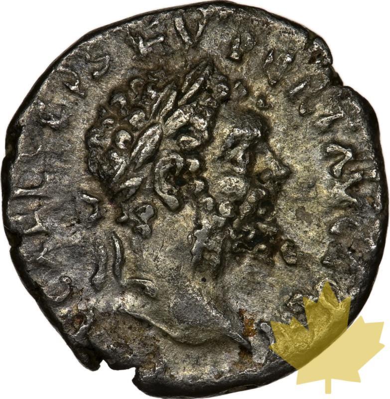 IMPERO ROMANO-193-211-Denarius-Settimio Severo-NGC AU 4/5-2/5 - 20240829135255_ROMAIN-193-211-DENIER-a2.jpeg