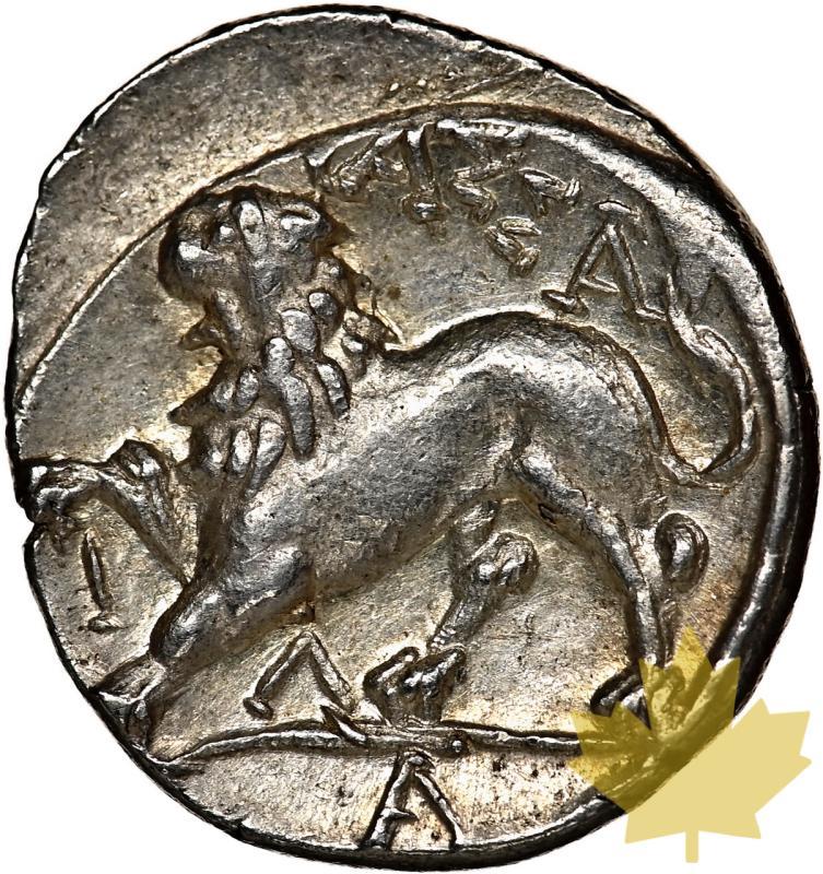 GAUL-MASSALIA-2°-1° SECOLO A.C.-DRACHM-NGC AU 4/5-5/5 - 20240829140042_GAUL-MASSALIA-2ND-1STCENT-r.jpeg