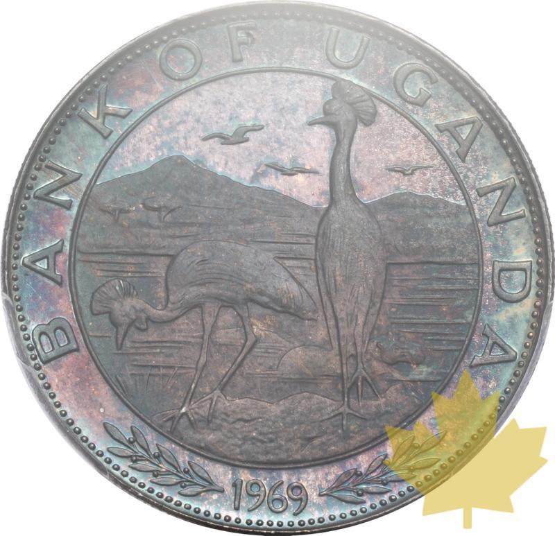 UGANDA-1969-5 SCHILLINGS-PCGS PR66DCAM - 20241010152706_UGANDA-1969-5SCHILL-a.jpeg