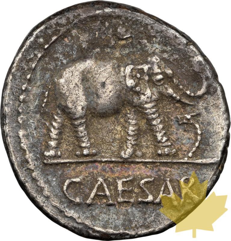 ROMAN IMPERATORIA-44 AV BC-DENARIUS-JULIUS CAESAR-NGC XF-5/5;2/5 - 20241011163510_MONNAIEROMAINE-44AVJC-a.jpeg