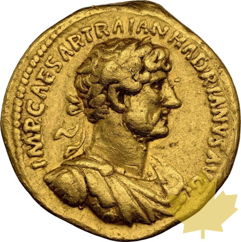 IMPERO ROMANO-117-138 AC-AUREUS-HADRIAN-NGC VF 5/5;2/5 - 20241114164848_EMPIREROMAINE-AUREUS-a.jpeg