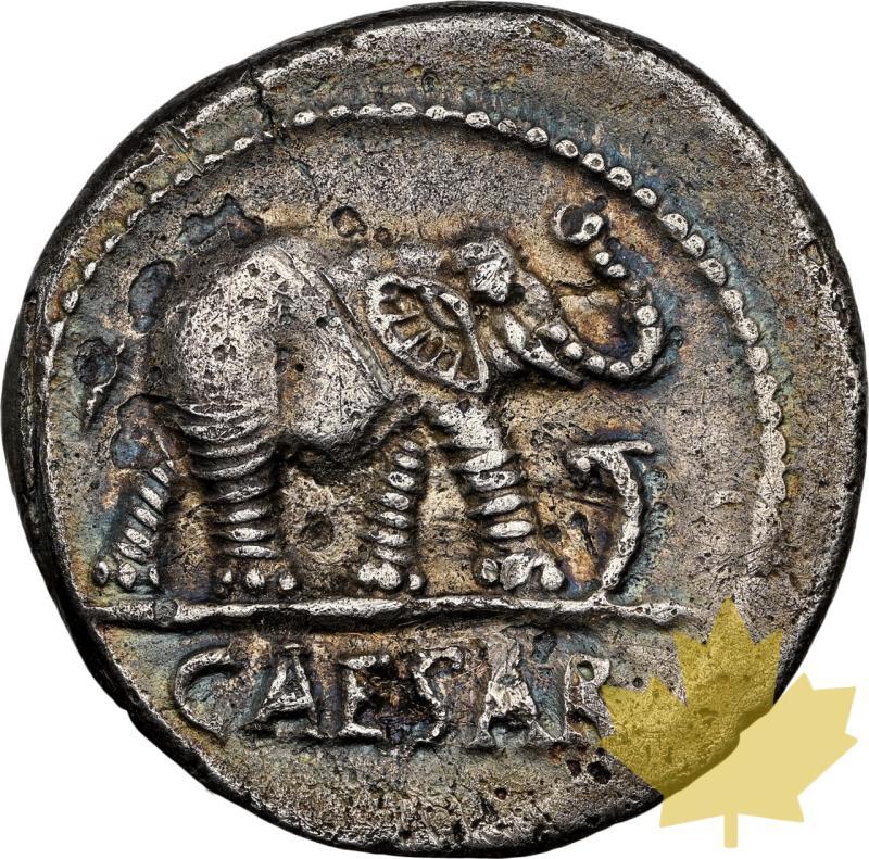 ROMANO IMPER-44 AV JC-DENARIUS-JULIUS CAESAR-NGC XF 4/5;2/5 - 20241115091259_MONNAIE-44AVJC-DENIER-a.jpeg