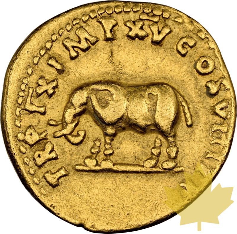 IMPERO ROMANO-AD 79-81-AUREUS-TITUS-NGC VF 5/5;2/5 - 20241115093133_EMPIREROMAIN-79-81-AUREUS-r.jpeg