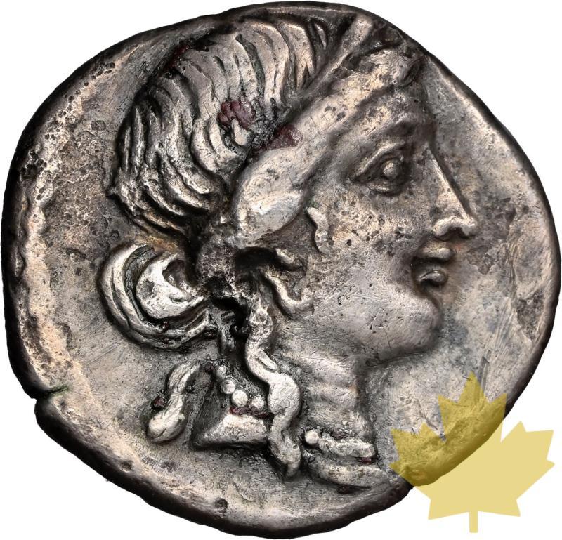 ROMAN IMPERATORIA-44 BC-DENARIUS-JULIUS CAESAR-NGC CH VF 5/5;1/5 - 20250113134758_ROMAN-44BC-DENARIUS-a.jpeg