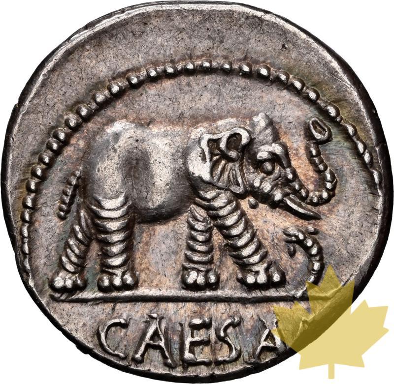 ROMANO IMPER-44 BC-DENARIUS-JULIUS CAESAR-NGC CH XF 5/5;5/5 - 20250218084620_ROMAN-44BC-DENARIUS-a.jpeg