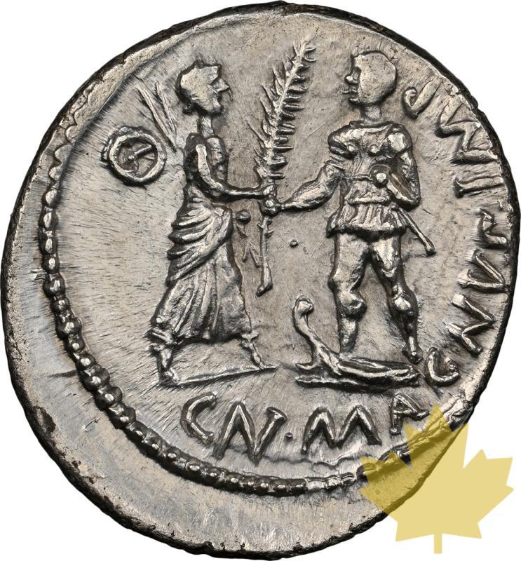 ROMAN IMPERATORIAL-45 AC-DENARIUS-POMPEY-NGC CHAU 5/5-2/5 - 20250312115508_ROMANIMP-45BC-DENARIUS-r.jpeg