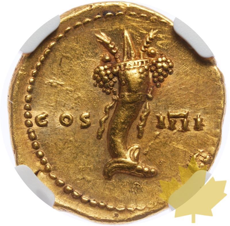 EMPIRE ROMAINE-81-96-AUREUS-DOMITIAN-NGC CHOICE XF 5/5;2/5 - 20250313134403_ROMANEMPIRE-81-96-AUREUS-r.jpeg