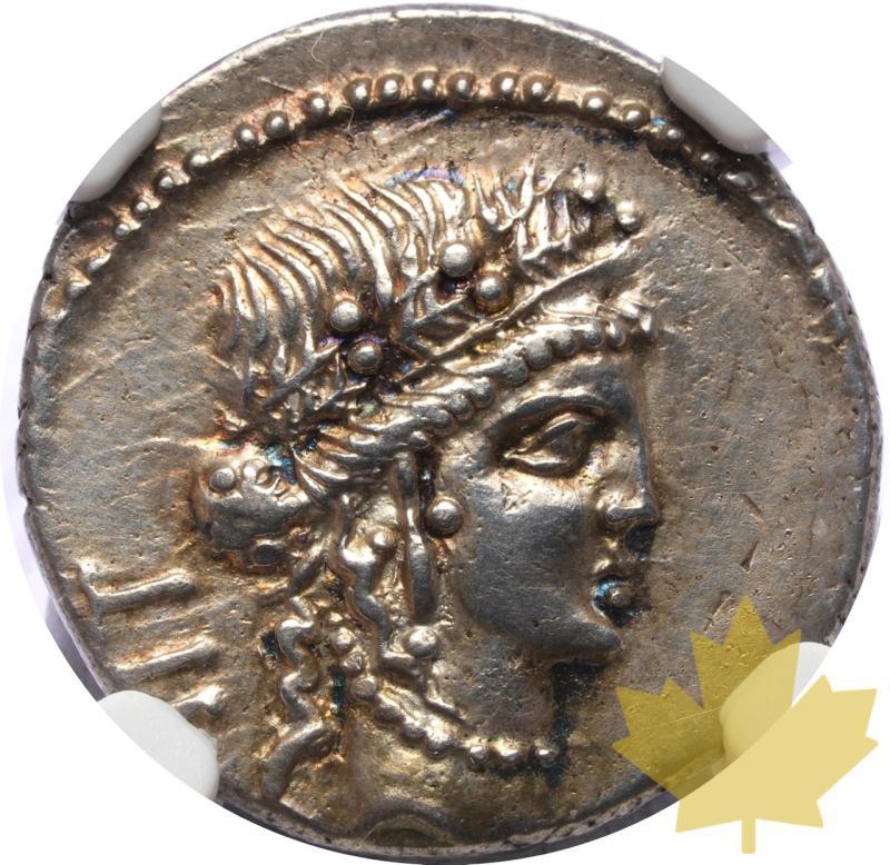 ROMAN IMPERATORIAL-44 A.C.-DENARO-GIULIO CESARE-NGC AU - 20250313152219_ROMANIMPER-44BC-DEN-a.jpeg