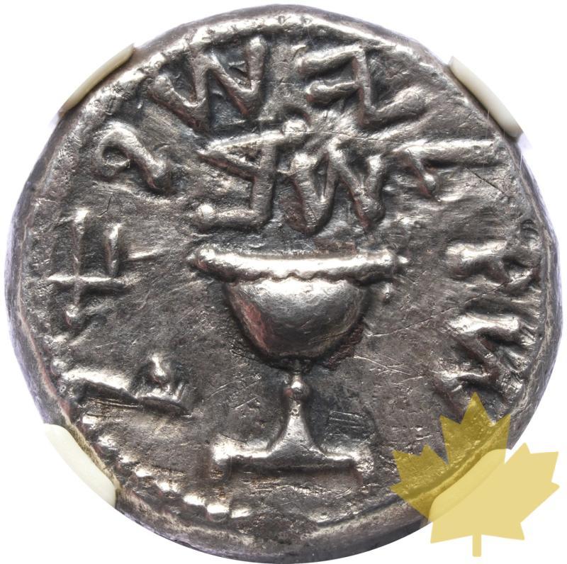 JUDEE-66-70-SHEKEL-JUDEE-PREMIERE REVOLTE-NGC CH XF 4/5;3/5 - 20250313155250_JUDAEA-66-70-SHEKEL-a.jpeg