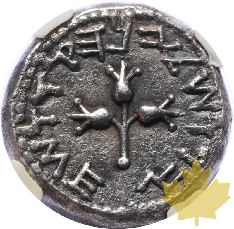 JUDEE-66-70-SHEKEL-JUDEE-PREMIERE REVOLTE-NGC CH XF 4/5;3/5 - 20250313155250_JUDAEA-66-70-SHEKEL-r.jpeg