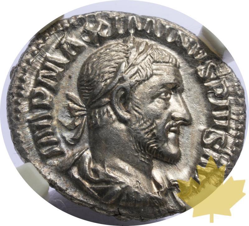 IMPERO ROMANO-235-238-DENARIUS-MASSIMINO I-NGC CH AU 5/5-5/5 - 20250424104340_ROMANEMP-235-238-DENARIUS-a.jpeg