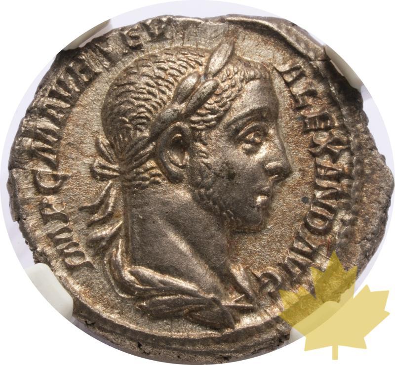 IMPERO ROMANO-222-235-DENARIUS-SEV.ALEXANDER-NGC Ch AU - 20250526130331_ROMANO-222-235-DENARIUS-A.jpeg