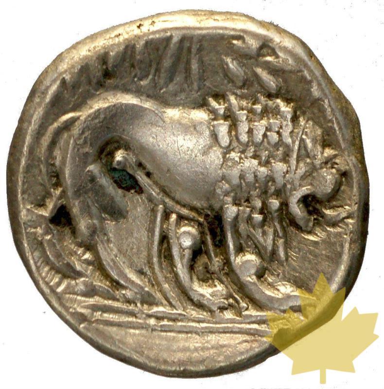 GRECE-Massalia-Drachme-Imitation massaliote-TTB+ - 24-gennaio-2014-02.jpg