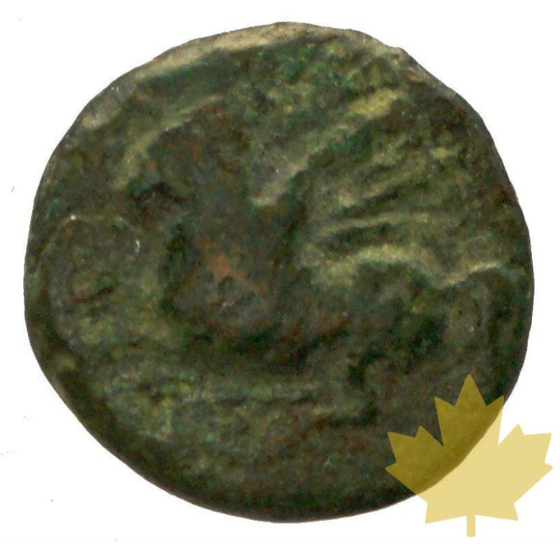 GRECE-CORINTHE-BRONZE-TB-TTB - 24-gennaio-2014-13.jpg