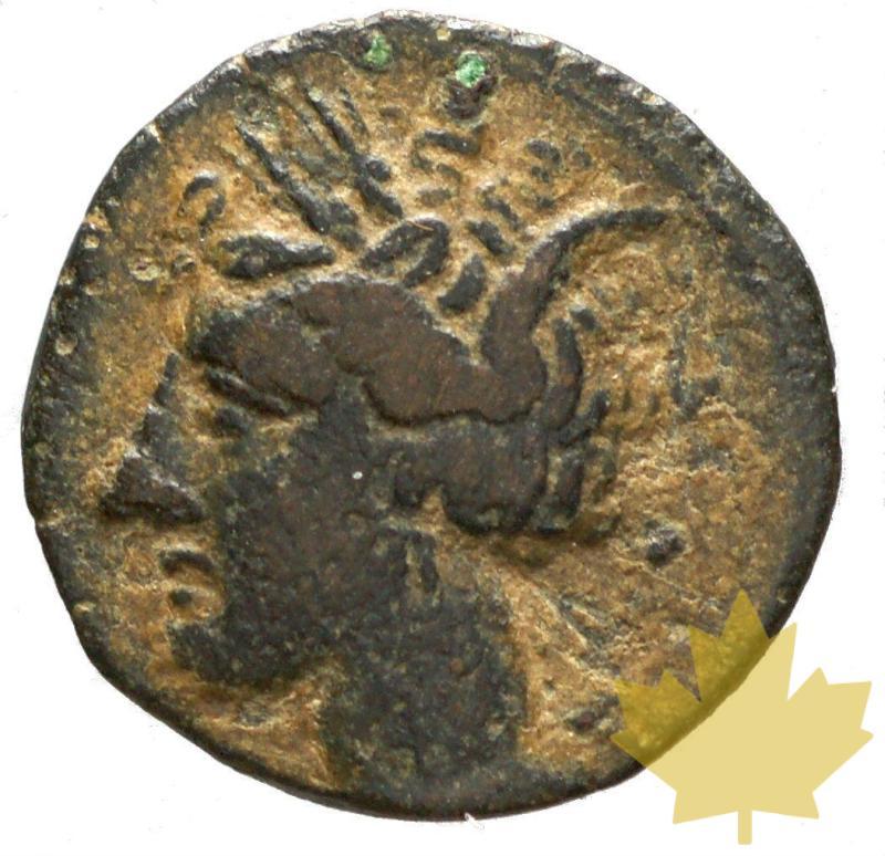 GRECE-Afrique-du-Nord-Zeugitanie-Petit Bronze-TB-3.20g - 24-gennaio-2014-27.jpg