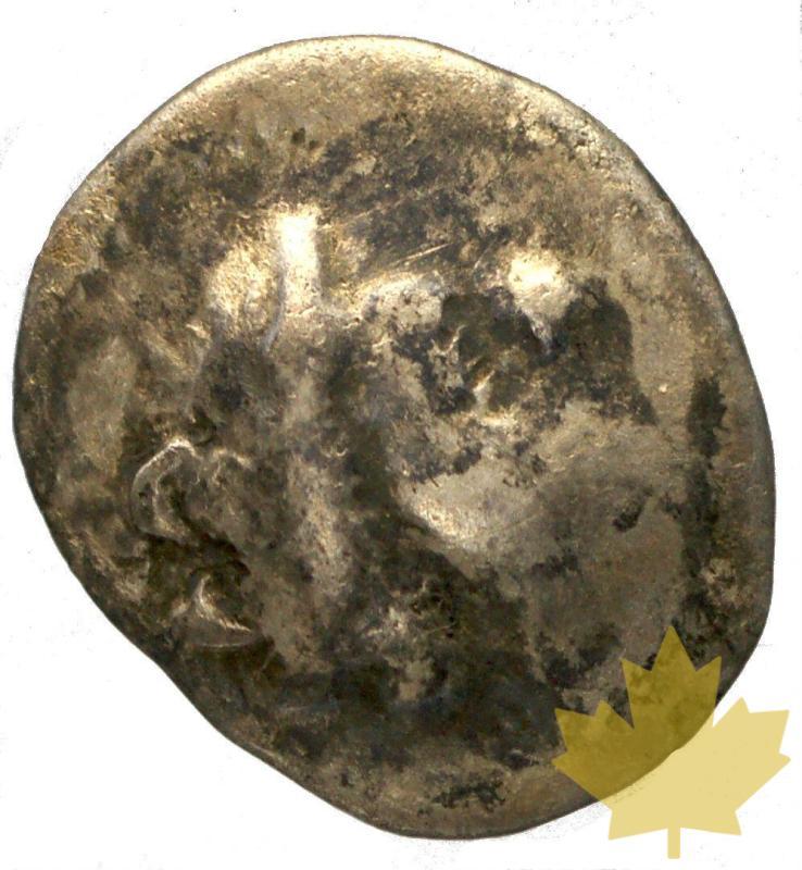 CELTES-PIEMONT-IMITATION DES MONNAIES MESSALIOTS-TB-TTB-2.8g - piemonte-24-gennaio-2014-11.jpg