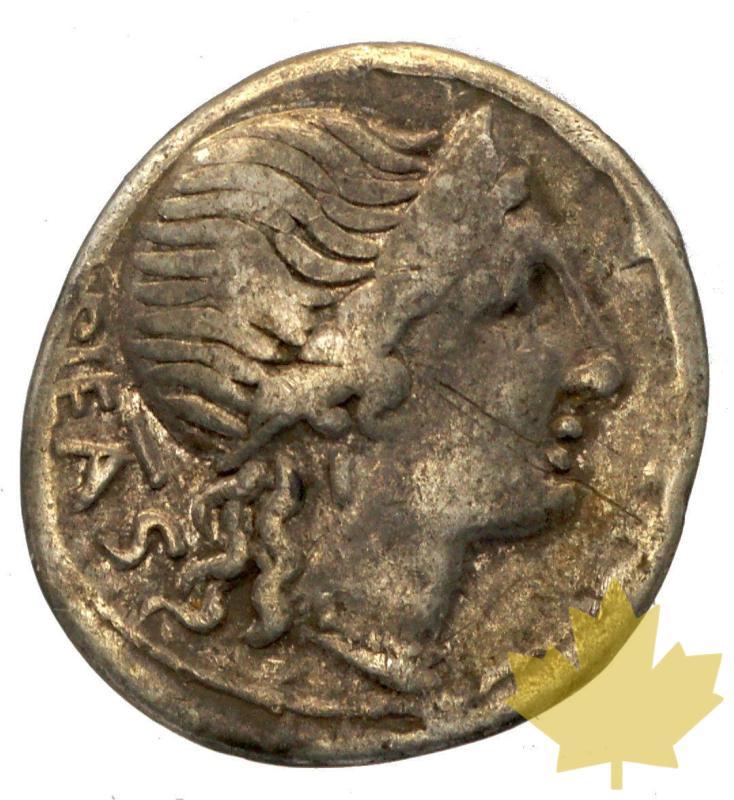 Rome Rep-Denier-Herennia-101 av JC-TB-TTB - rep-31-gennaio-2014-33.jpg